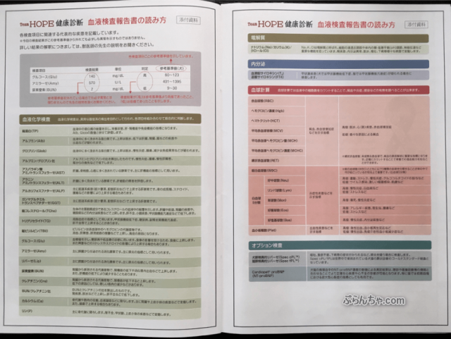 猫の健康診断の費用や検査項目、注意事項などまとめ ぷらんちゃ.com